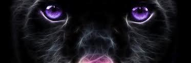 Gammasateastern's profile banner image