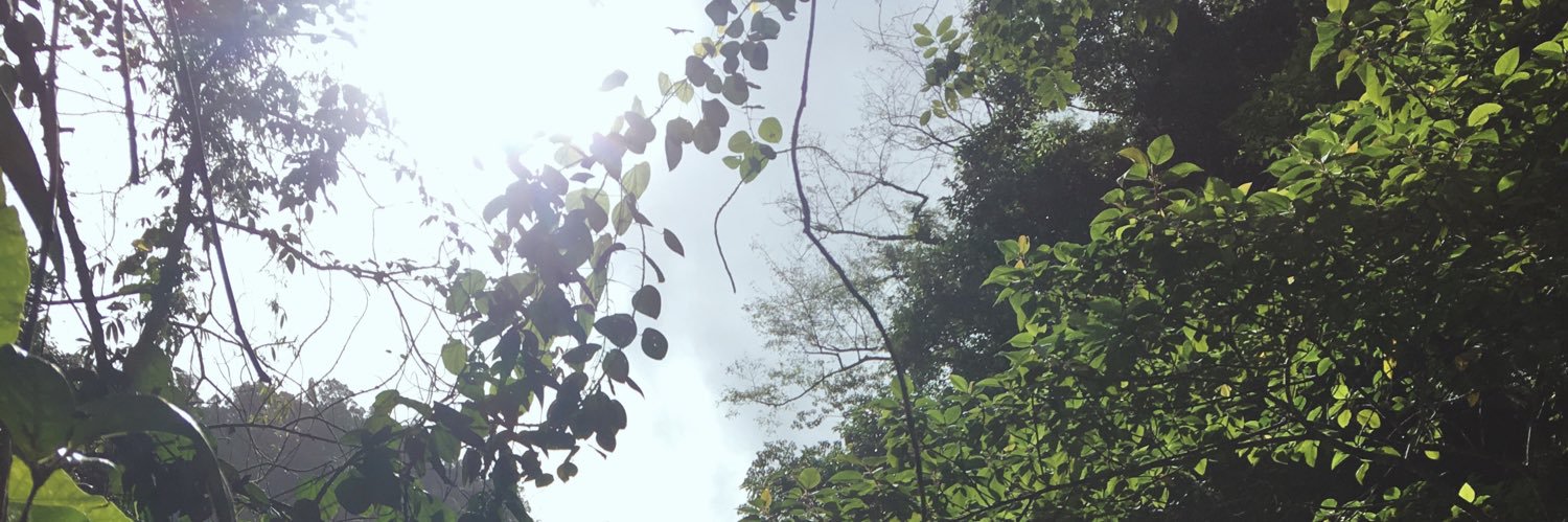 parkoka's profile banner image