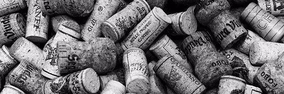 Ashleigh Rowan banner