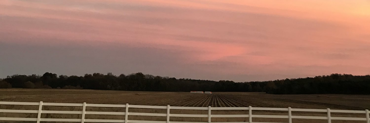 jenndavid14's profile banner image