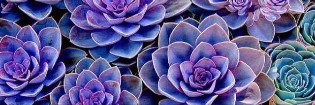 oohnichole's profile banner image