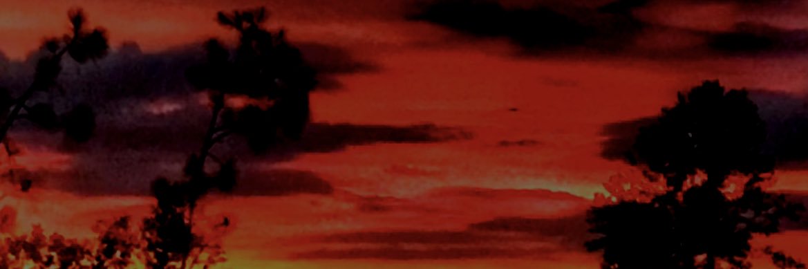 Truth_5et5UFree's profile banner image