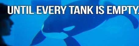 JohnsOceanArmy's profile banner image