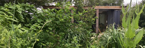 wildoonagh Profile Banner