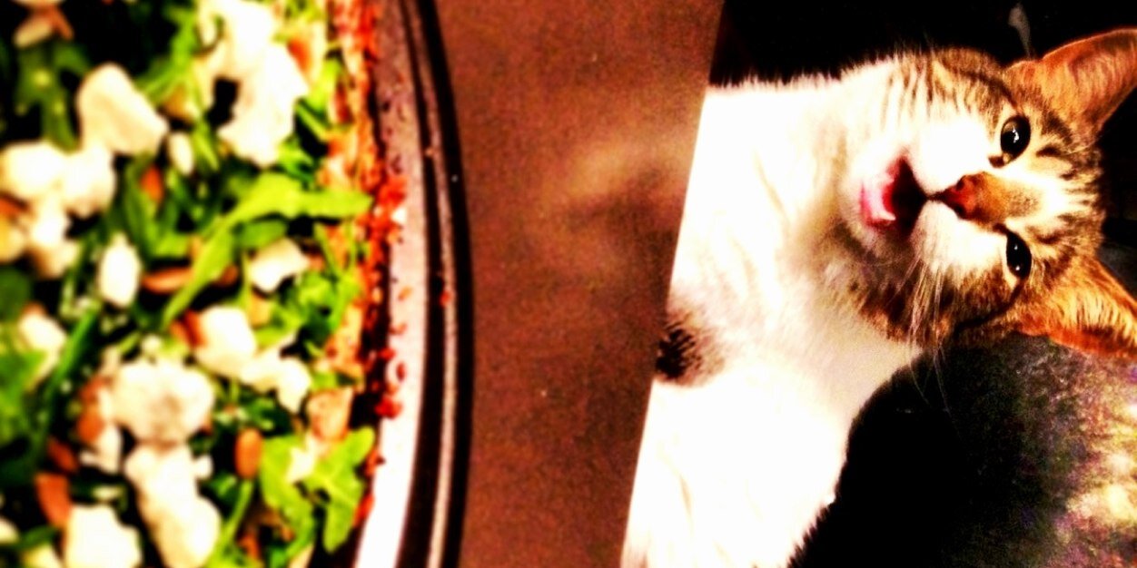 dinner_blonde's profile banner image