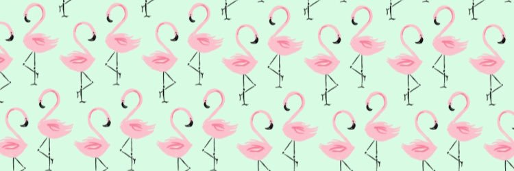 mswescotttweets's profile banner image