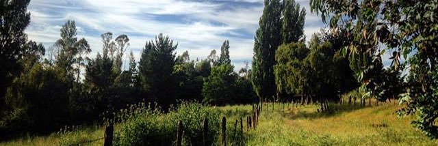 Cristina Torres Del banner