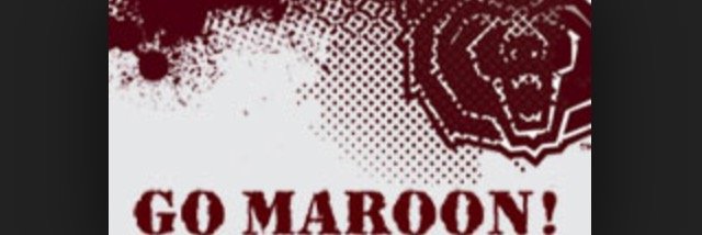 MoStateSAAC's profile banner image