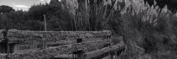 M_Stellingwerf Profile Banner