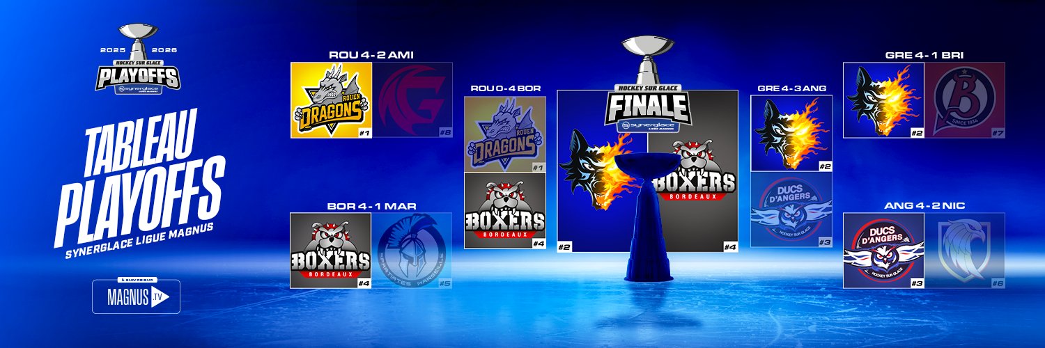 LigueMagnus's profile banner image