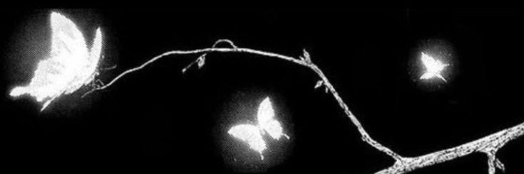 yejunne's profile banner image
