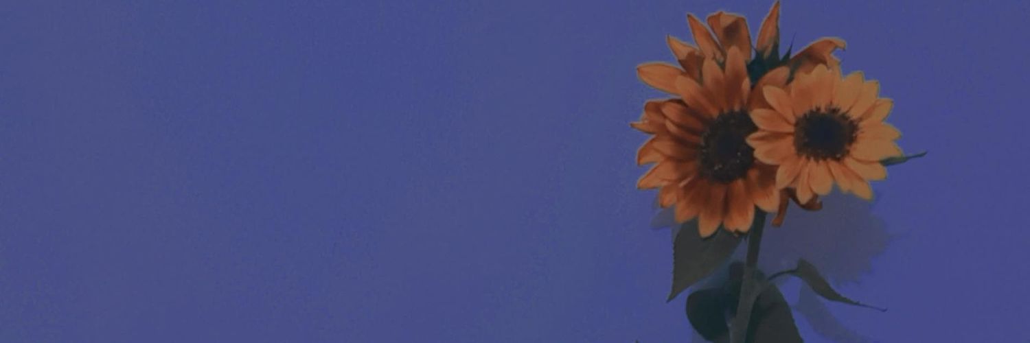 didiramdr's profile banner image