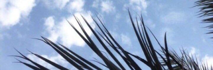 A0oqi's profile banner image