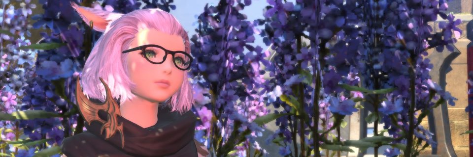 Sandrinas_Bla's profile banner image