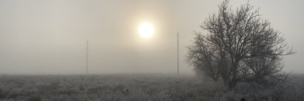 imijnssen Profile Banner