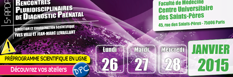 rpdp_fr's profile banner image