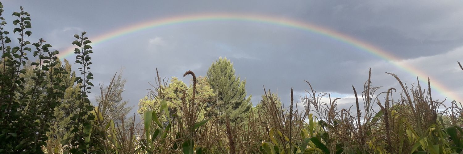 acodma's profile banner image