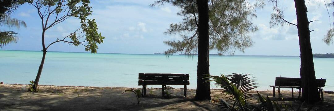 RosaChan🇹🇼 banner