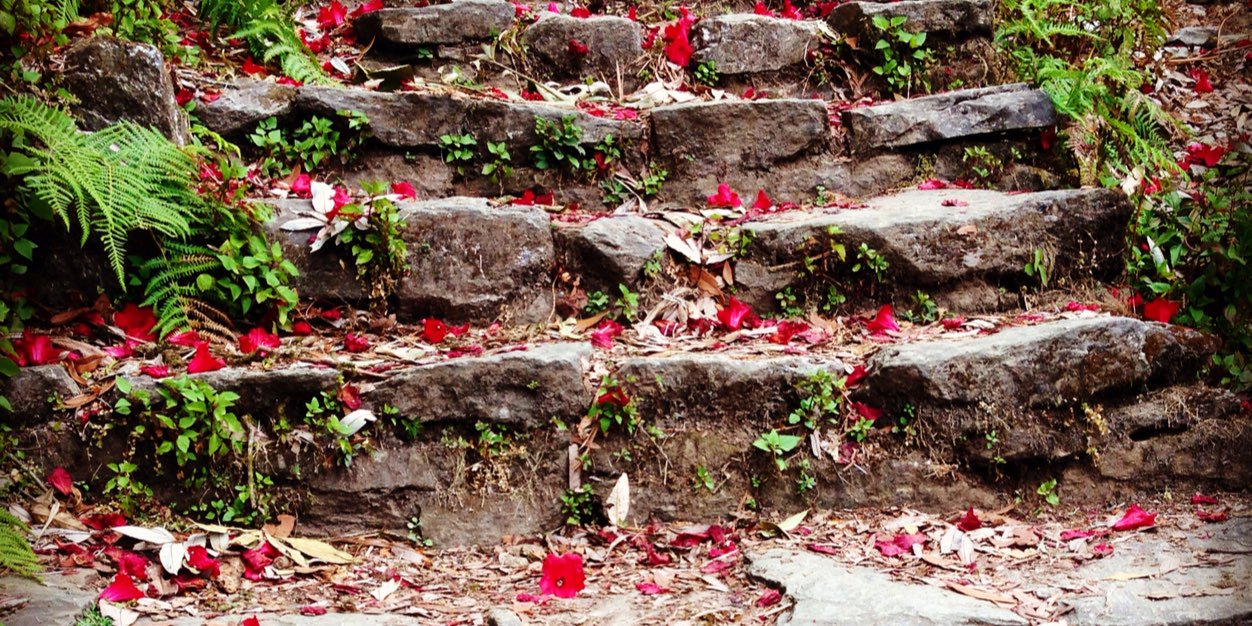 Faye Rice banner