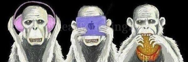 savvyhatchh's profile banner image