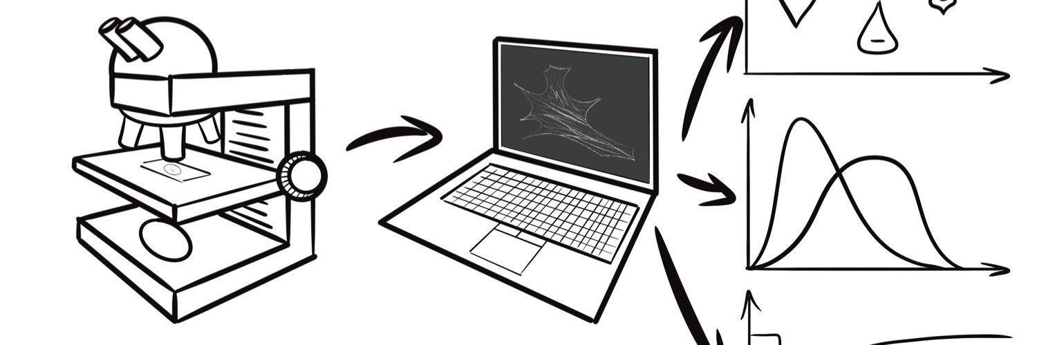 Marie Held 👩‍💻🔬💻🖼🔢 banner