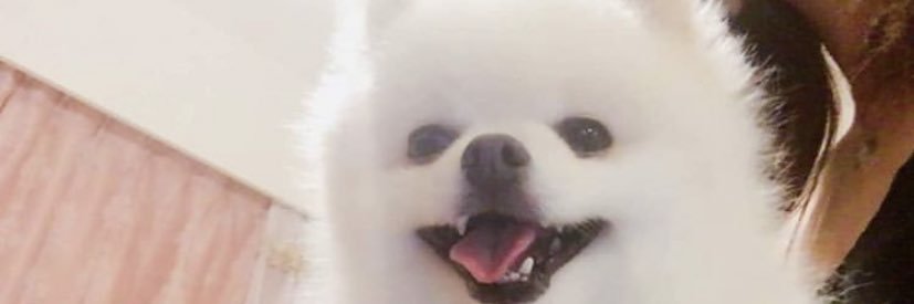 chrisxgc's profile banner image