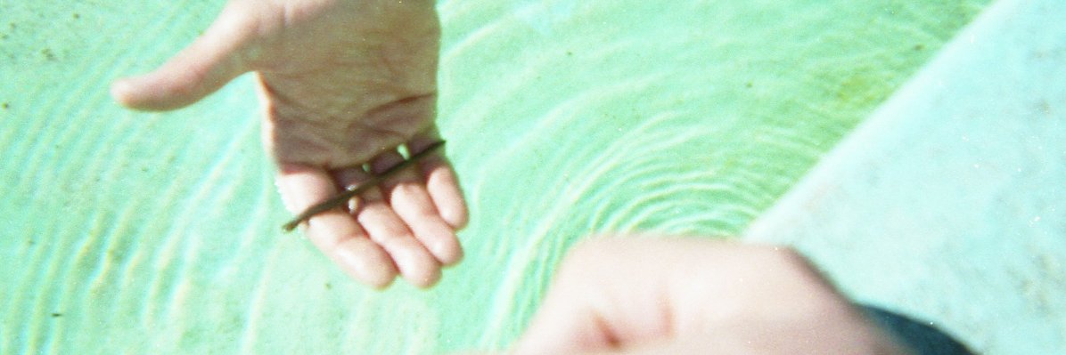 windowsloth's profile banner image