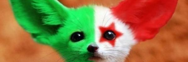 manel2221's profile banner image