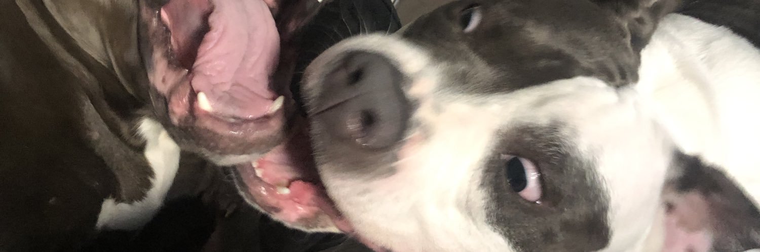 killahnoe's profile banner image