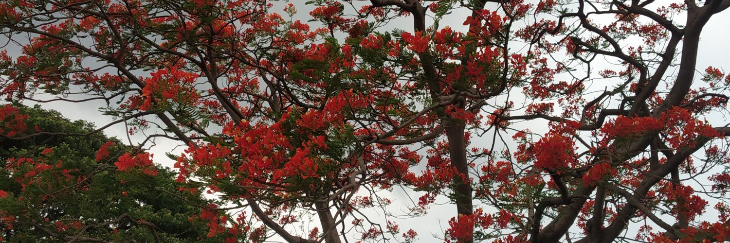 Mayur12051993's profile banner image