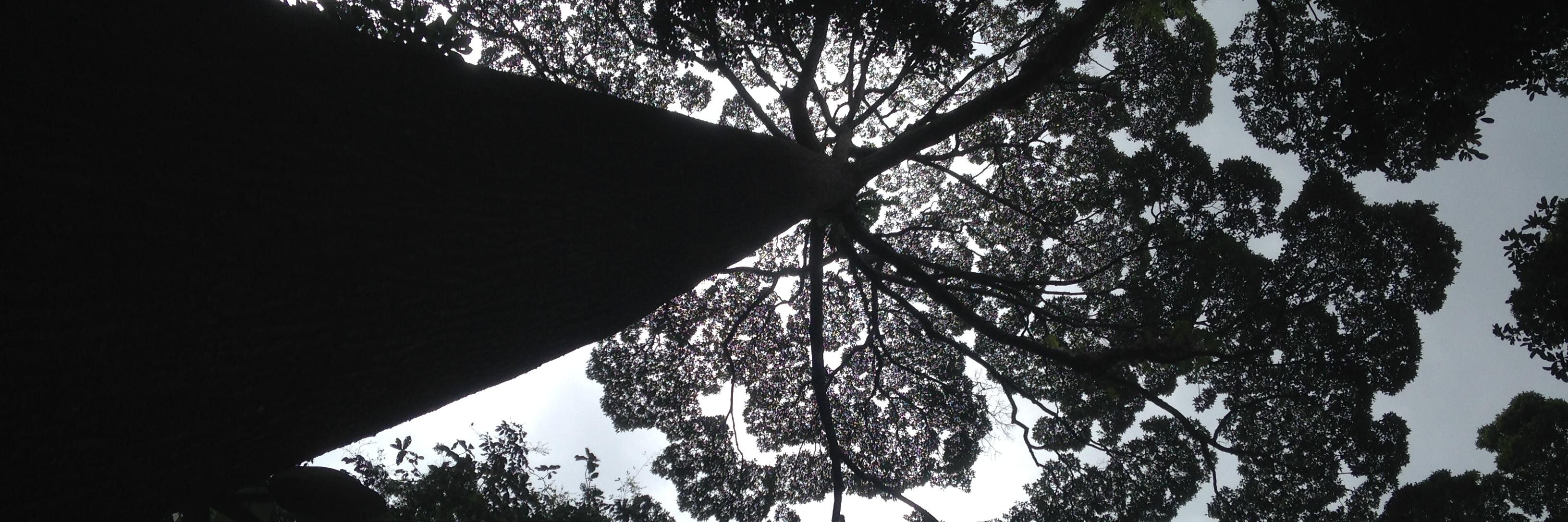 djaysern's profile banner image
