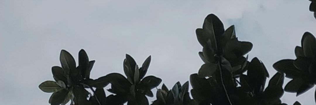 nchmilaaa's profile banner image