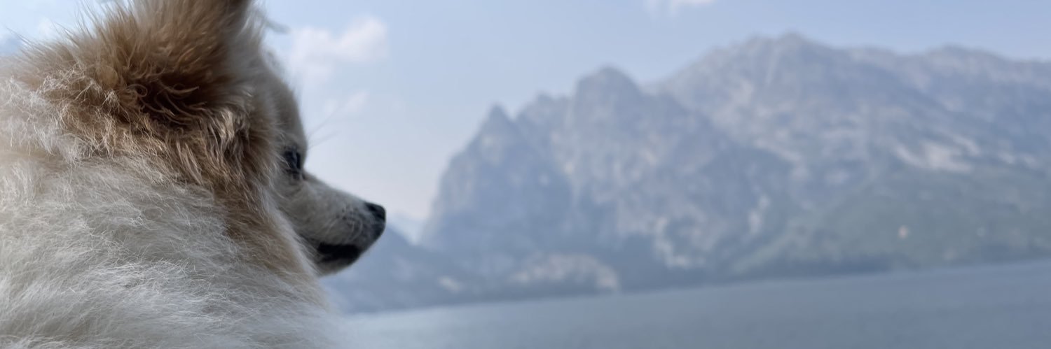 Muthawalker's profile banner image