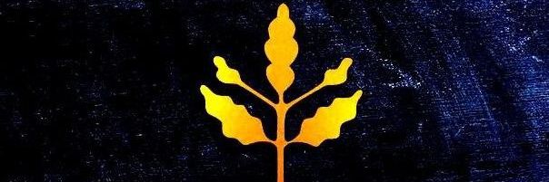 tusem_1907's profile banner image