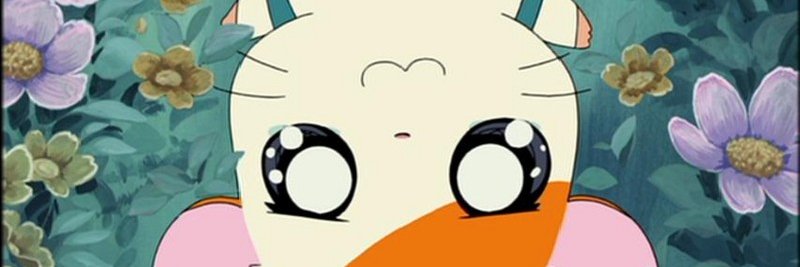 Kyra Kupetsky's banner
