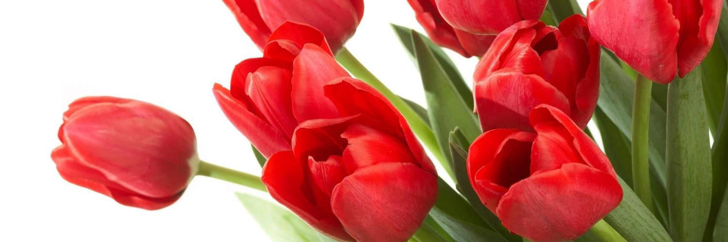 Maryemkhatab's profile banner image