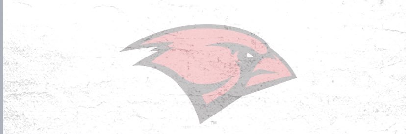 salvineo's profile banner image
