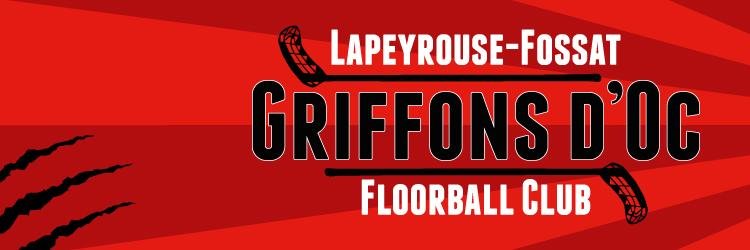 GriffonsdOc banner