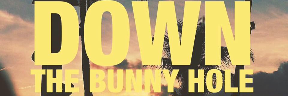 Down the Bunny Hole banner