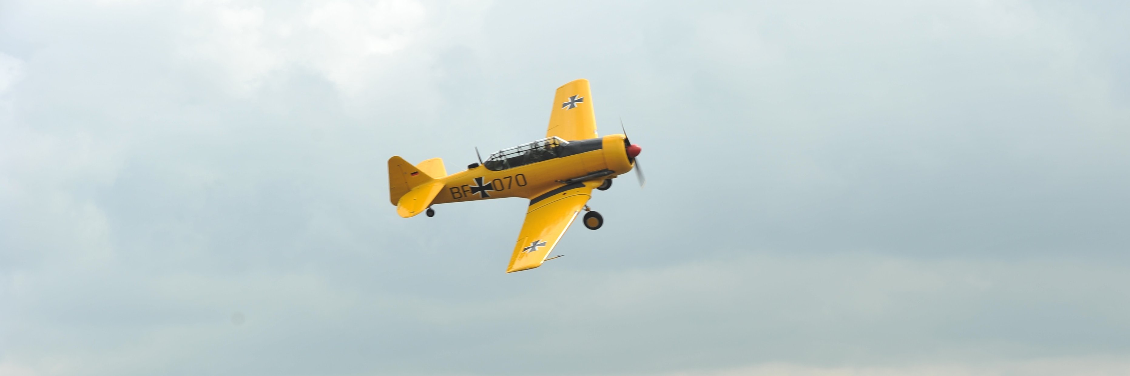 Steve Pope (Popee) banner