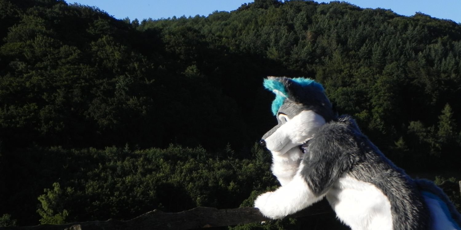Hachi wuff 🔜 EF 🇩🇪 banner