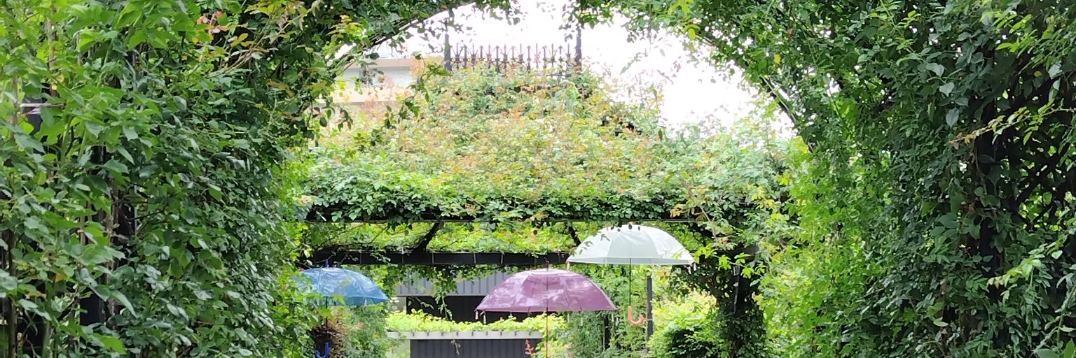 かとかと。 banner