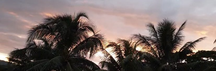 snwilliamss's profile banner image