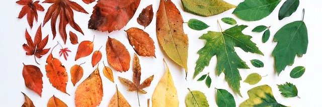ByronTree's profile banner image