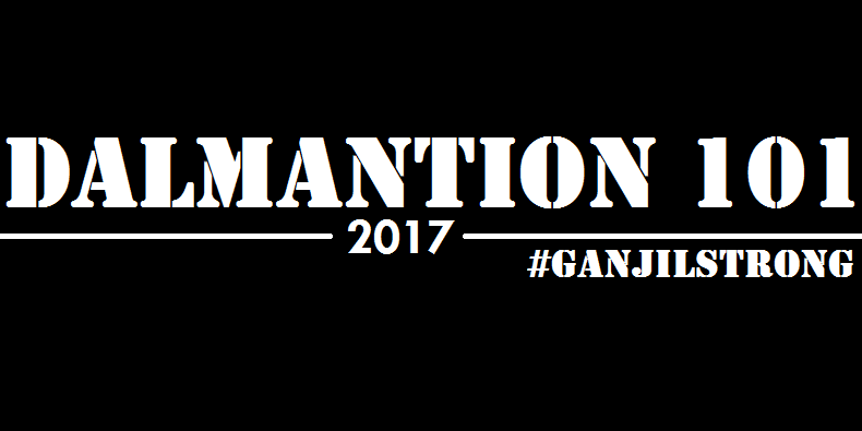 DALMANTION2017_'s profile banner image