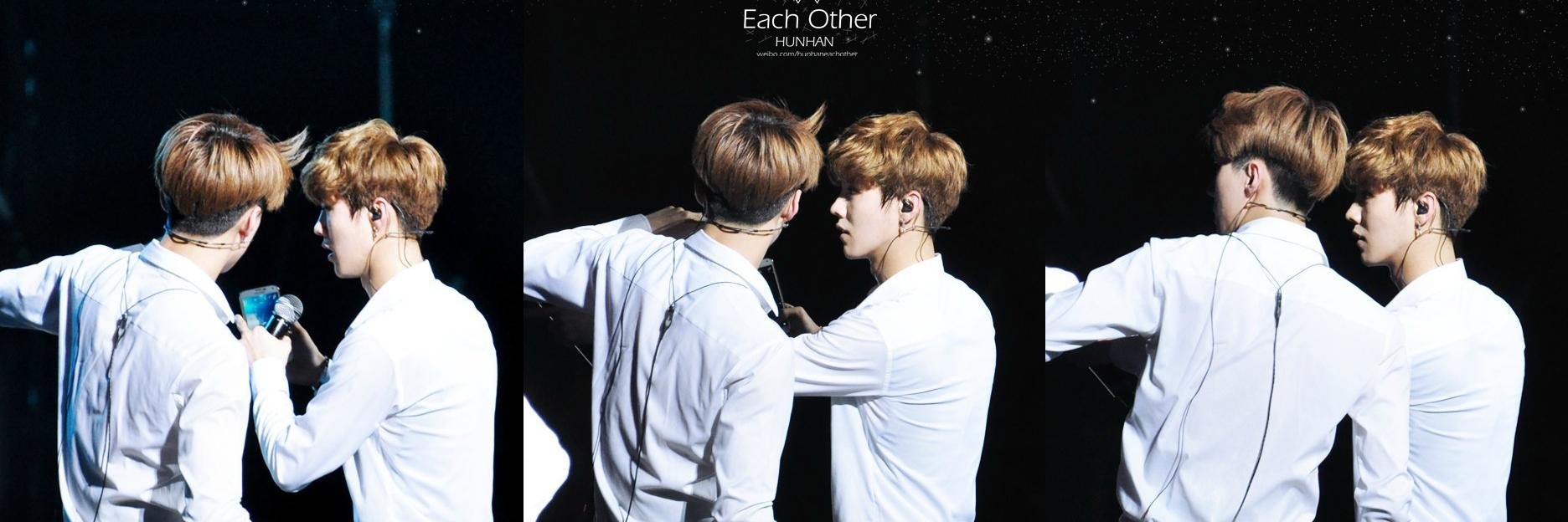 seludome's profile banner image