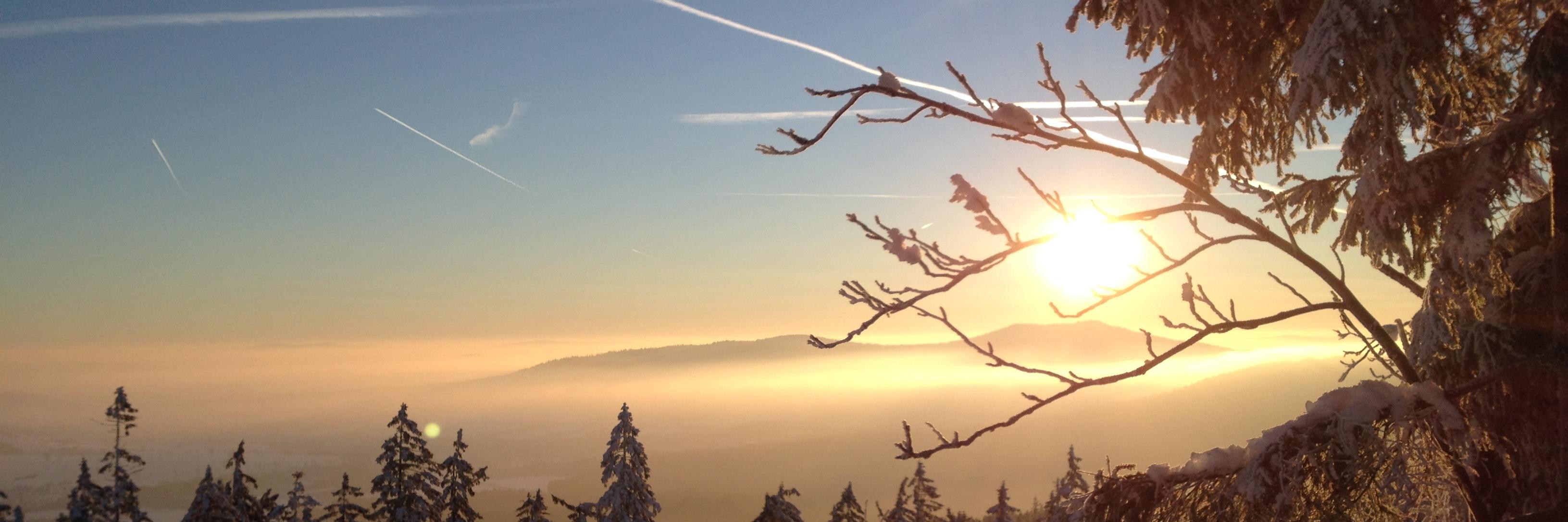 michaelfeigel's profile banner image