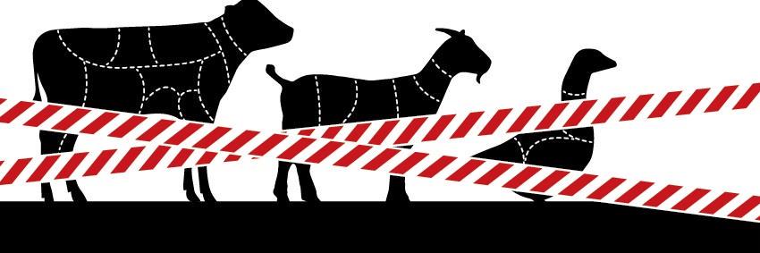 StLostAnimals's profile banner image