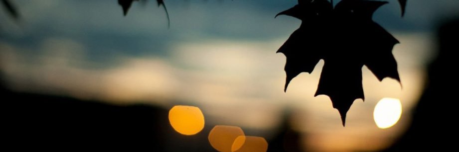 Ariel Torres  🇨🇷 banner