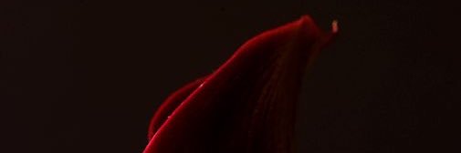 atwl11's profile banner image